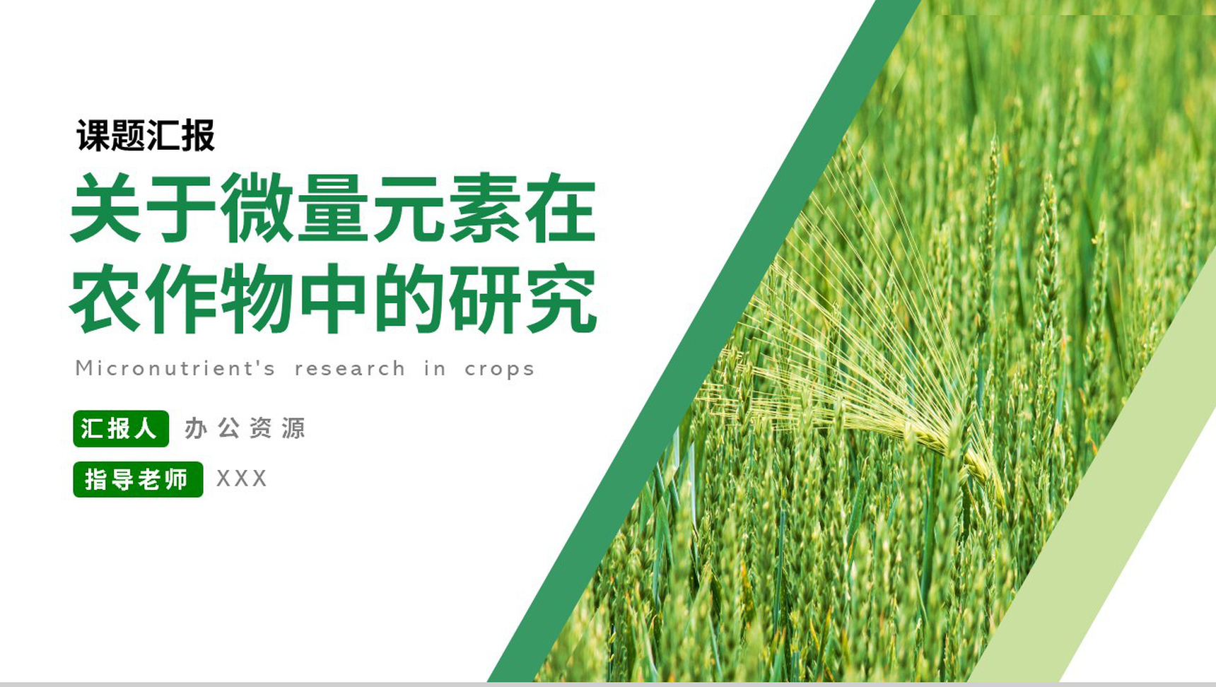 关于微量元素在农作物中的研究论文答辩PPT模板-1