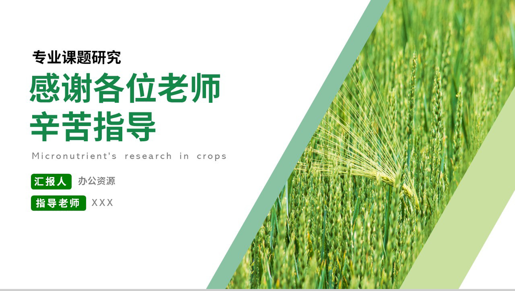 关于微量元素在农作物中的研究论文答辩PPT模板-9