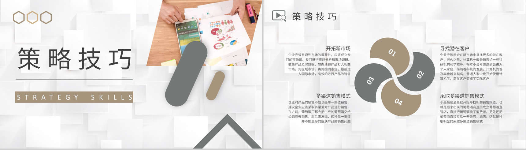 企业品牌介绍产品宣传策划方案市场营销策略分析培训PPT模板-6