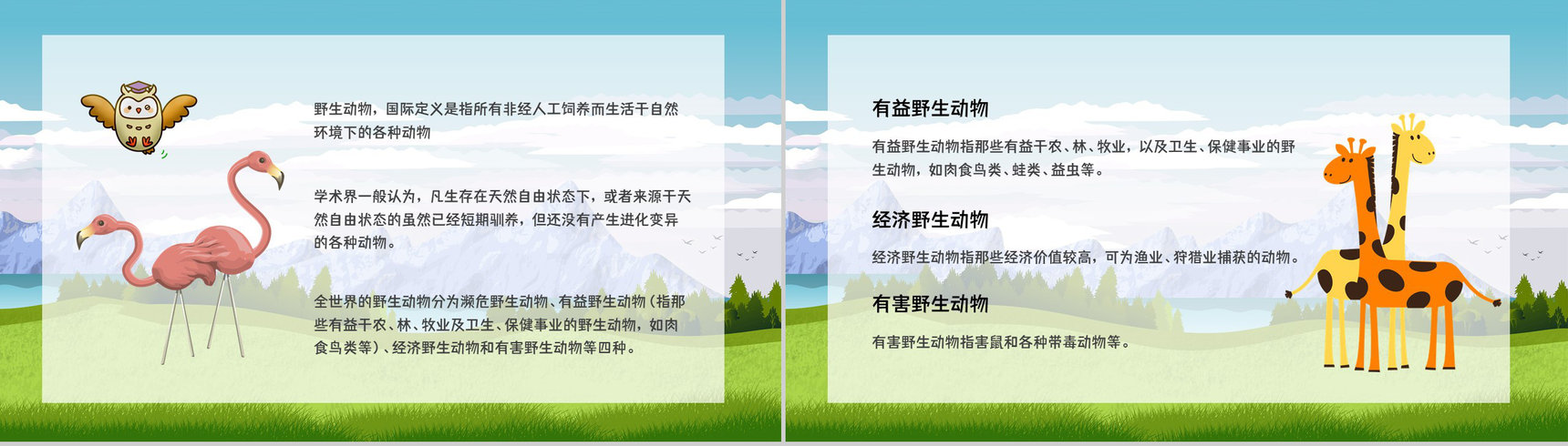 丛林野生动物保护拒绝野味从我做起主题活动宣传介绍方案策划PPT模板-3