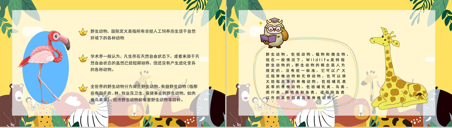 公益活动宣传野生动物保护策划学校教育培训课外活动讲座PPT模板-9