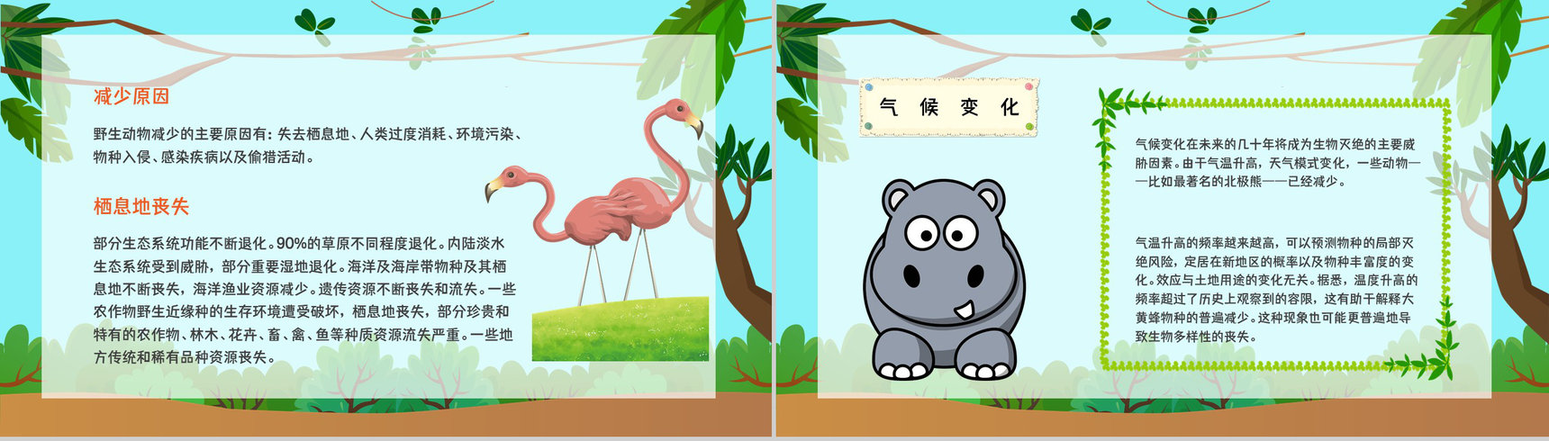 学生知识拓展至野生动物保护介绍学习主题班会世界动物日活动宣传讲解PPT模板-3