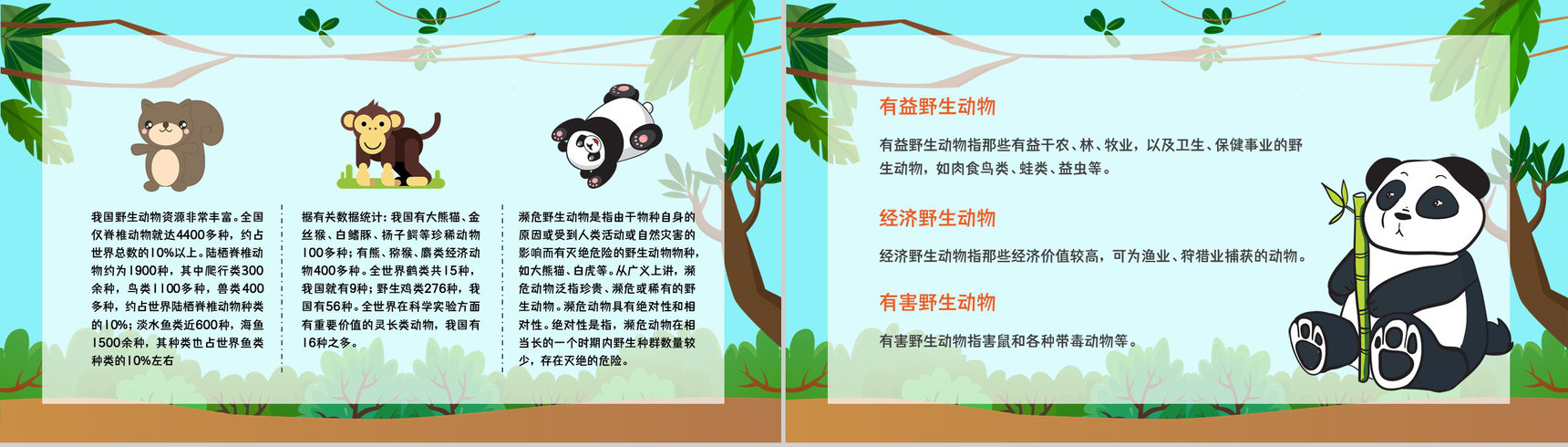 学生知识拓展至野生动物保护介绍学习主题班会世界动物日活动宣传讲解PPT模板-6
