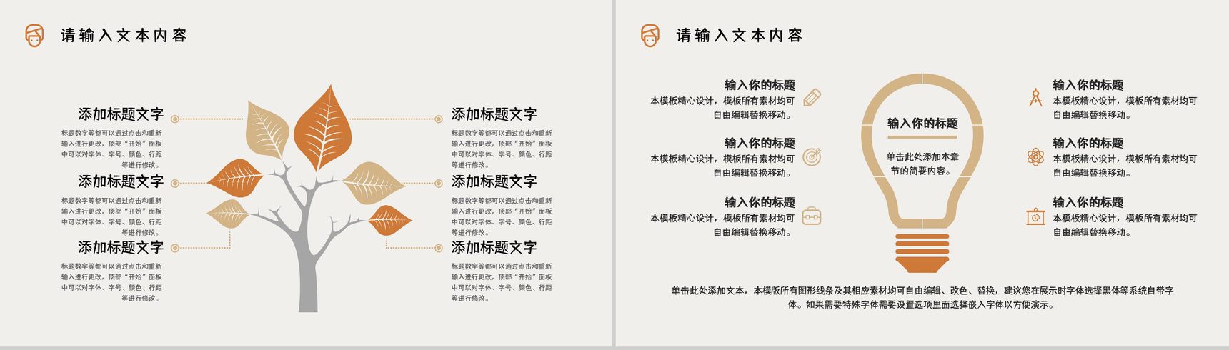 女性整形美容护理项目介绍医疗行业整容知识了解培训PPT模板-9