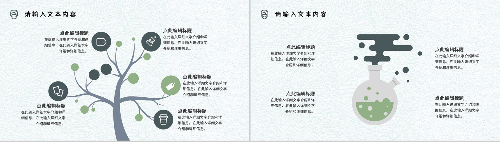 医美行业整形美容医疗机构宣传美容护理项目介绍宣传PPT模板-7