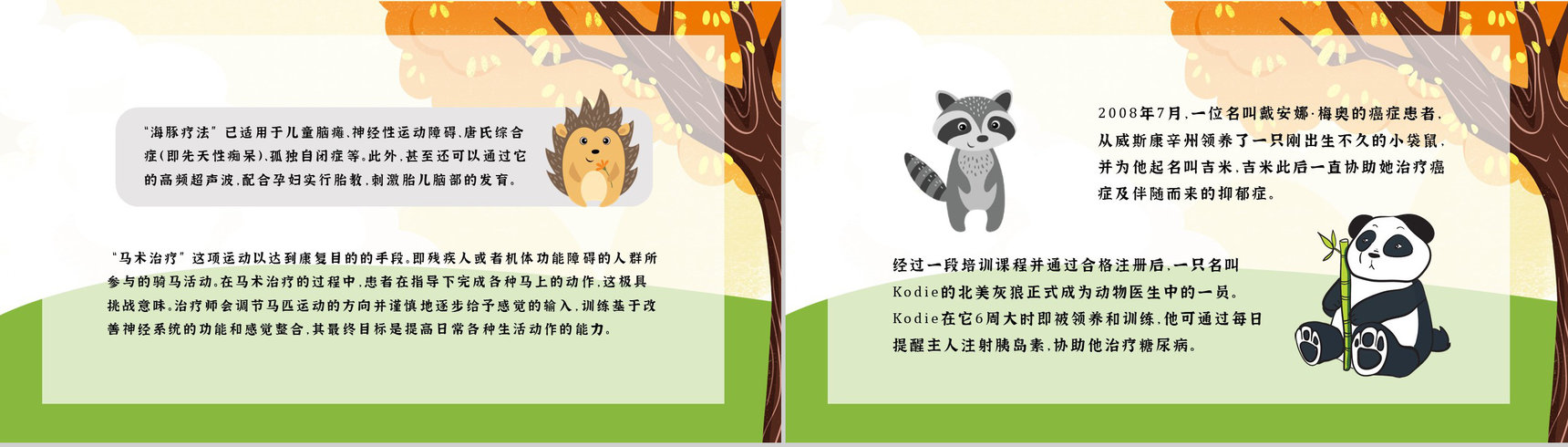 公益活动宣传国际保护动物日策划学校教育培训课外活动讲座PPT模板-8