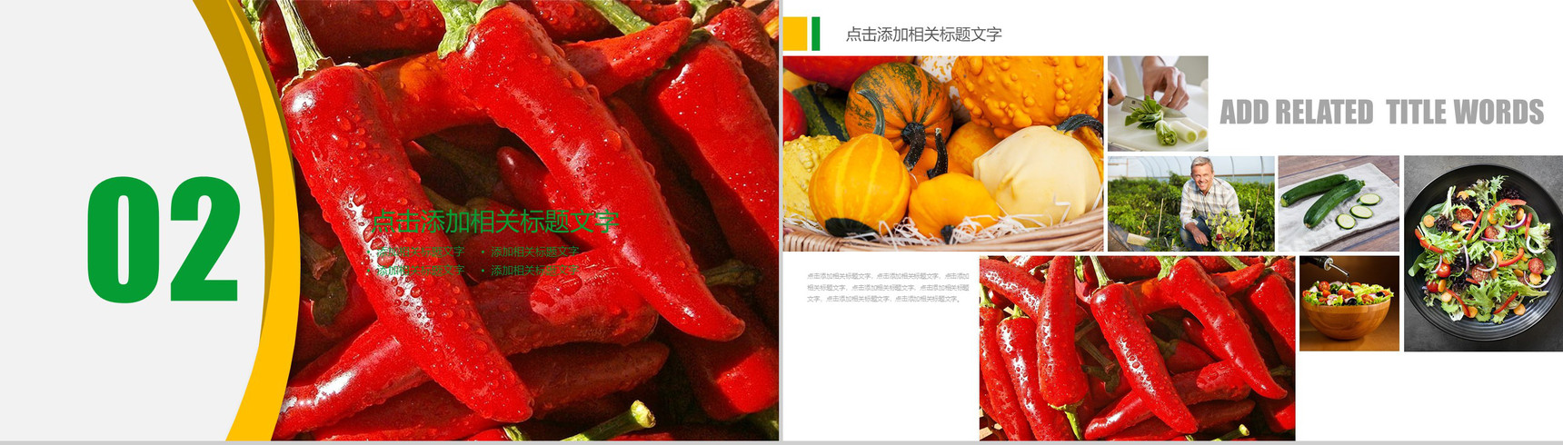 农产品介绍商务计划PPT模板-5